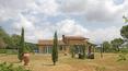 Toscana Immobiliare - Guest house of the tuscany property
