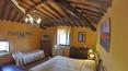 Toscana Immobiliare - The property includes  hotel, self-catering apartments, restaurant, SPA, conference 