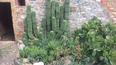 Toscana Immobiliare - Casa vacanza in vendita in provincia di Siena