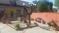 Toscana Immobiliare - Casa vacanza in vendita in provincia di Siena