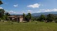 Toscana Immobiliare - Italy Property with 5 houses and 50 ha of land