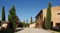 Toscana Immobiliare - I fabbricati sono dislocati tra le colline di oliveti e vigneti della tenuta
