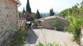 Toscana Immobiliare - Tuscan Farm with vineyard and hunting reserve in Siena area