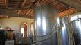 Toscana Immobiliare - Farm with vineyard for sale in Tuscany