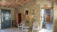 Toscana Immobiliare - Farm with winery for sale in Tuscany