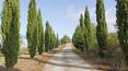 Toscana Immobiliare - Estate for sale in Tuscany of over 100 hectares with hunting reserve and farmhouses