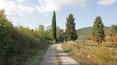 Toscana Immobiliare - Estate for sale in Tuscany of over 100 hectares with hunting reserve and farmhouses