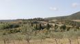 Toscana Immobiliare - Estate for sale in Tuscany of over 100 hectares with hunting reserve and farmhouses