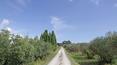 Toscana Immobiliare - Borgo con villa padronale vigneto e terreni in vendita provincia di Siena