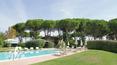 Toscana Immobiliare - Tuscan farmhouse divided into apartments for sale in the countryside of Pisa