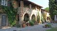 Toscana Immobiliare - Casale diviso in appartamenti in vendita a Fauglia, Pisa