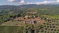 Toscana Immobiliare - The property includes 2 hectares of land with cypress trees and numerous olive trees