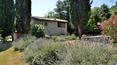 Toscana Immobiliare - Country house with garden for sale in Civita di bagnoregio