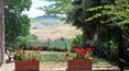 Toscana Immobiliare - Property near Castellina in Chianti with vineyards