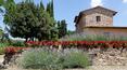 Toscana Immobiliare - Farm with vineyard for sale in Castellina in Chianti with Chianti Classico wine production