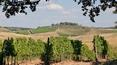 Toscana Immobiliare - Property with vineyard  For Sale in Castellina in Chianti