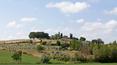 Toscana Immobiliare - Chianti Wine Estate For Sale in Castellina in Chianti