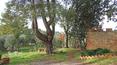 Toscana Immobiliare - Tuscany homes for sale in Siena, Trequanda