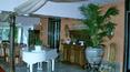 Toscana Immobiliare -