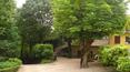 Toscana Immobiliare -