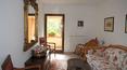Toscana Immobiliare - Luxury tuscan villa for sale Siena, Cetona