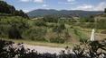 Toscana Immobiliare - View of the country house vith pool for sale in Tuscany, Cetona