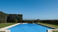 Toscana Immobiliare - Tuscan sea villas and vacation rentals for rent