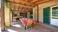 Toscana Immobiliare - Spazio esterno