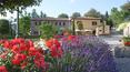 Toscana Immobiliare - Property for sale in Cortona, Arezzo, Italy