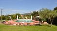 Toscana Immobiliare - 