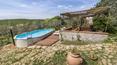 Toscana Immobiliare - The property includes 2300 sq m. of land with about 45 olive trees. It is possible to build a swimming pool