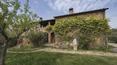 Toscana Immobiliare - Casale diviso in 2 appartamenti in vendita provincia di Siena
