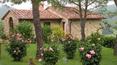 Toscana Immobiliare - property to buy in Montepulciano, Siena, Tuscany, Italy