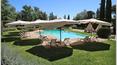Toscana Immobiliare - swimming pool of the property near siena