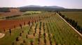 Toscana Immobiliare -