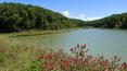 Toscana Immobiliare -