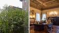 Toscana Immobiliare - historic frescoed apartment for sale cortona, Tuscany