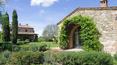 Toscana Immobiliare - The farm consists of the farmhouse, swimming pool, annexe 