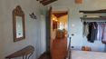 Toscana Immobiliare - Real estate homes to Asciano