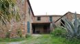Toscana Immobiliare - Aziende agricole in vendita a Asciano, Siena