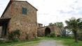 Toscana Immobiliare - Tenuta agricola in vendita in Toscana