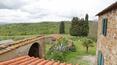 Toscana Immobiliare - Tenuta agricola in vendita a Siena