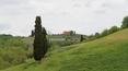 Toscana Immobiliare - Tenuta agricola in vendita ad Asciano