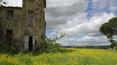 Toscana Immobiliare - Rustic, farmhouse, real estate, sale, renovate, Valdichiana, arezzo, tuscany