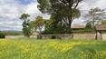 Toscana Immobiliare - Farmhouse to be restored for sale in Arezzo