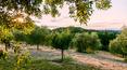 Toscana Immobiliare - Property for Sale in Montepulciano, Siena, Tuscany, Italy