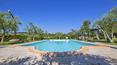 Toscana Immobiliare - Holiday house with pool for sale in Siena, Tuscany, Chianciano terme