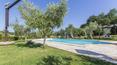 Toscana Immobiliare - The farm for sale is located between Val d\'Orcia and Val di Chiana and surrounded by olive groves and vineyards