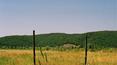 Toscana Immobiliare - Ancient estate for sale near Siena and thermal area.