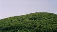 Toscana Immobiliare - Siena properties for sale in panoramic position
